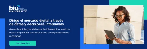 MBA en Sistemas de Información (2)