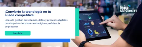 MBA en Sistemas de Información 1_0