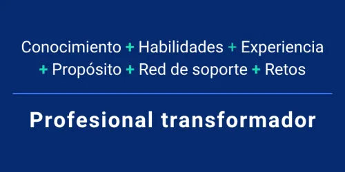 Profesional transformador