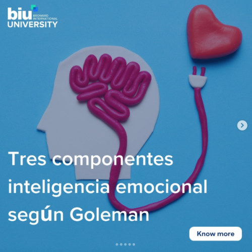 Instagram - De qué trata un MBA en Coaching Profesional