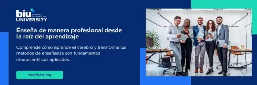 Imagen Blog 16