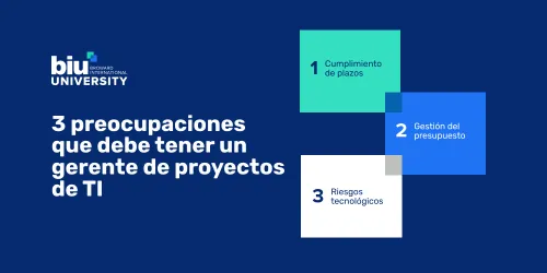 preocupaciones-gerente-proyectos-ti